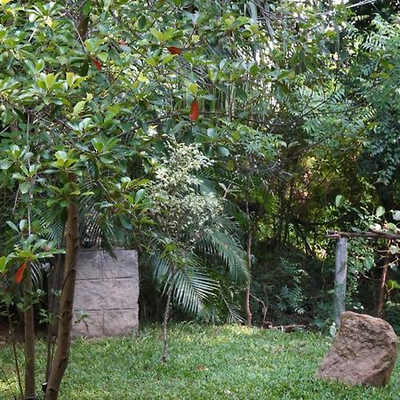 Sandra Guesthouse Dambulla Εξωτερικό φωτογραφία