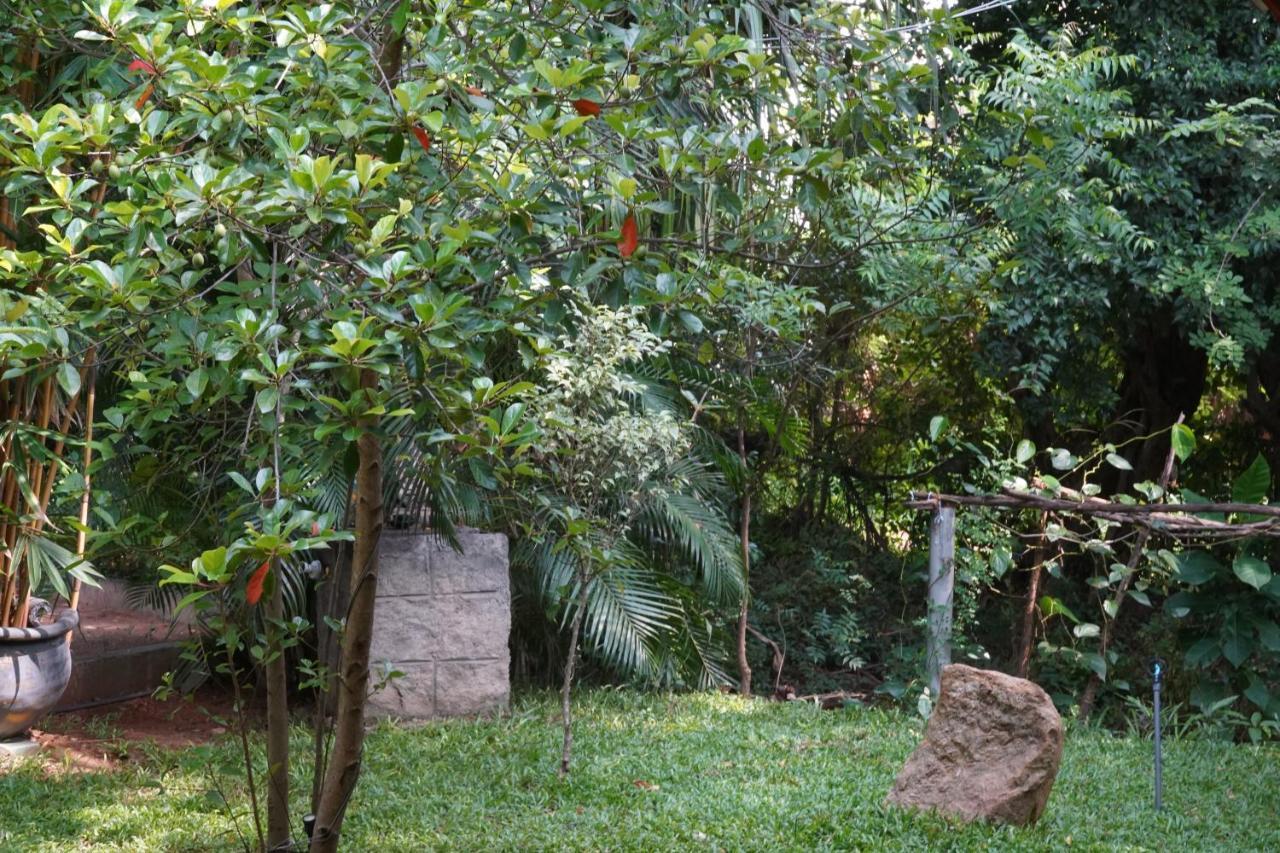 Sandra Guesthouse Dambulla Εξωτερικό φωτογραφία