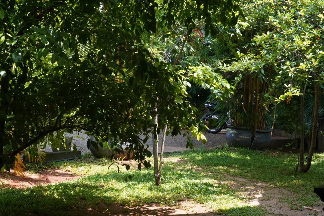 Sandra Guesthouse Dambulla Εξωτερικό φωτογραφία