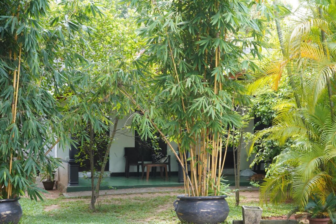 Sandra Guesthouse Dambulla Εξωτερικό φωτογραφία