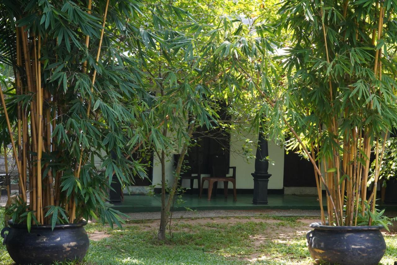 Sandra Guesthouse Dambulla Εξωτερικό φωτογραφία